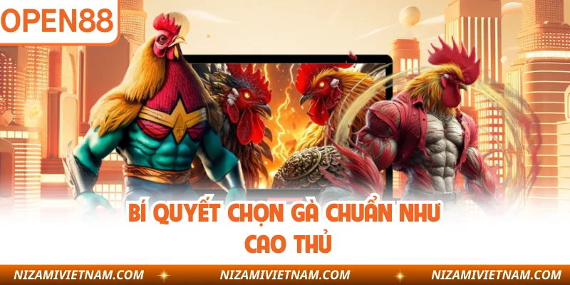 Bí quyết chọn gà chuẩn như cao thủ